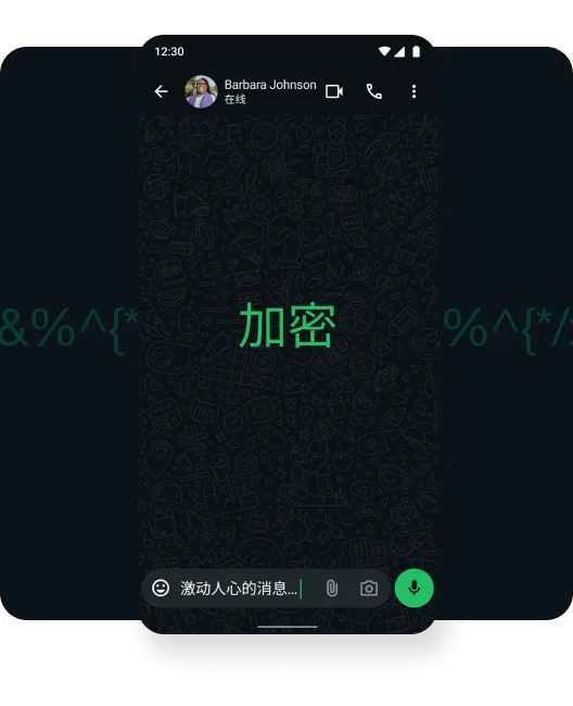 端到端加密的 WhatsApp 对话截图
